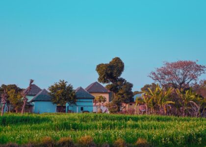 When the Gram Panchayat Builds on Your Land: Understanding Your Rights Against Illegal Encroachment