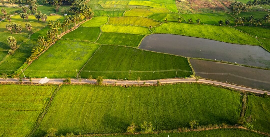 Adverse Possession in India: How a Trespasser Can Become an Owner, and How to Prevent It